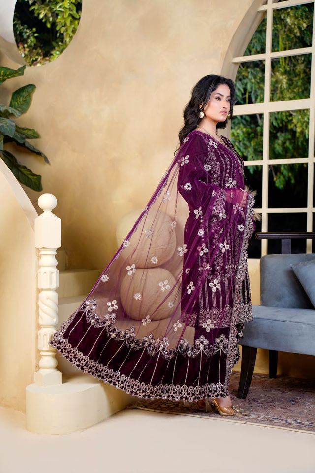 Shehnaz Embroidered Velvet Suit